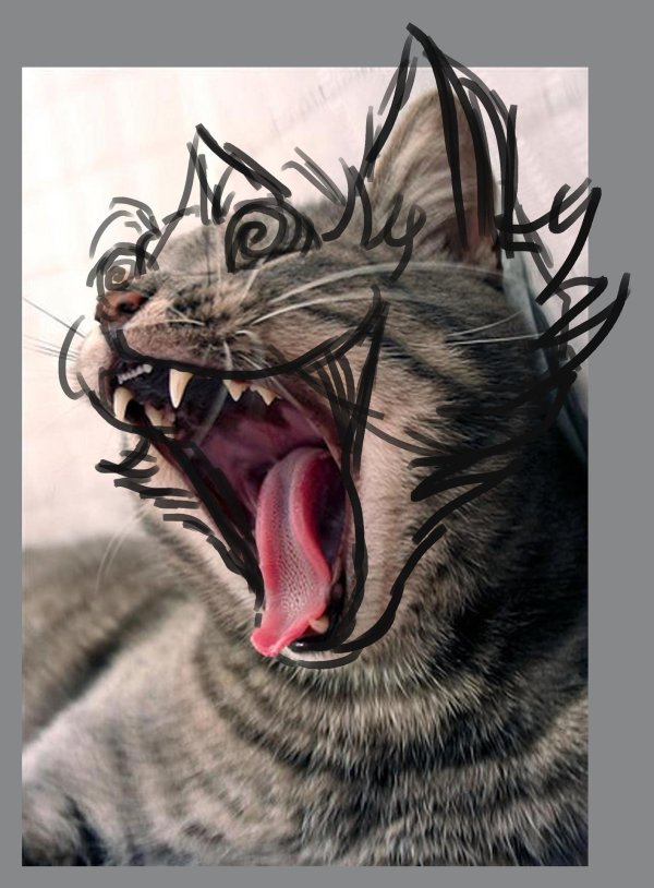 орущая кошка