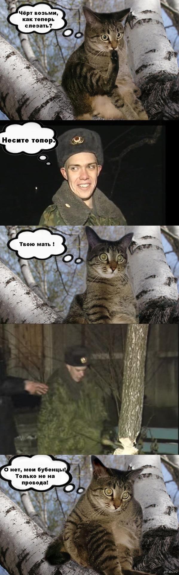 спасти рядового барсика