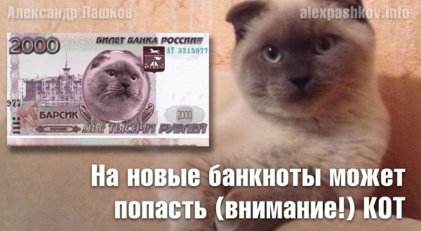 купюра денег