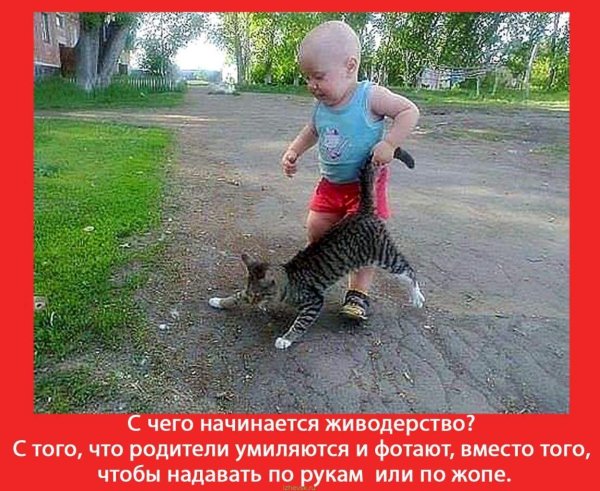 смешные приколы с надписями