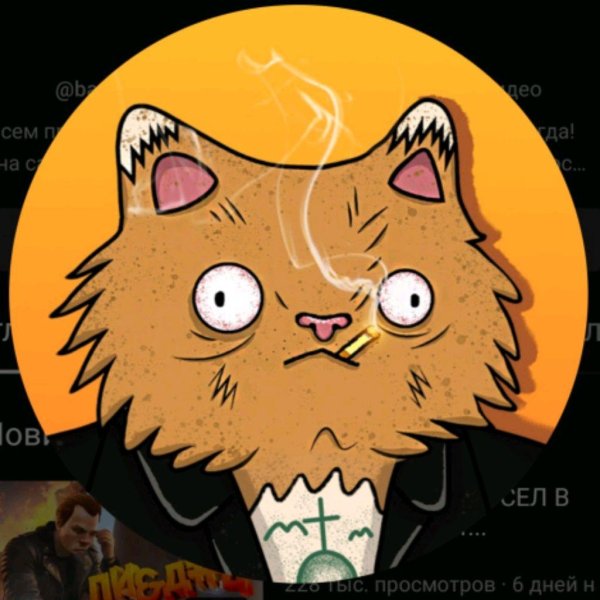 барсик блоггер