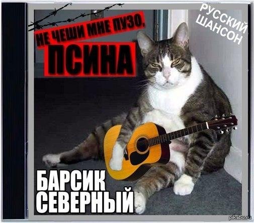 котэ сборник песен