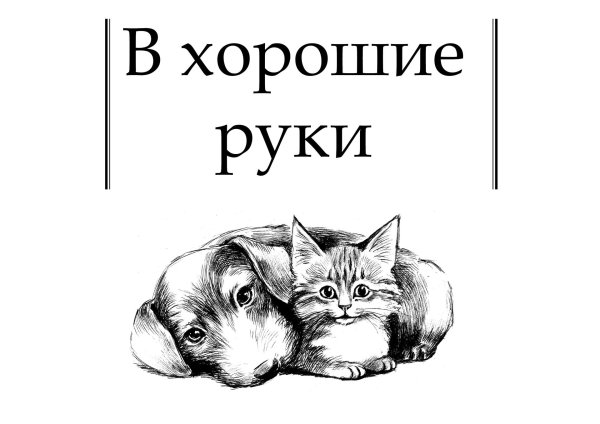 рисунок животного