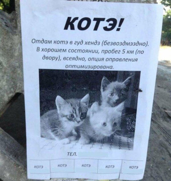 смешное объявление