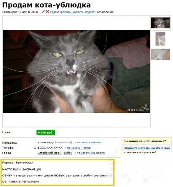 смешное объявление