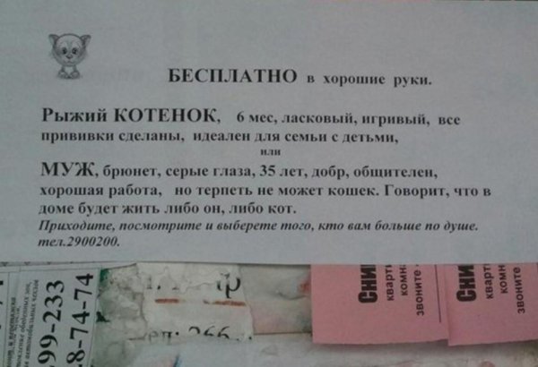 смешное объявление
