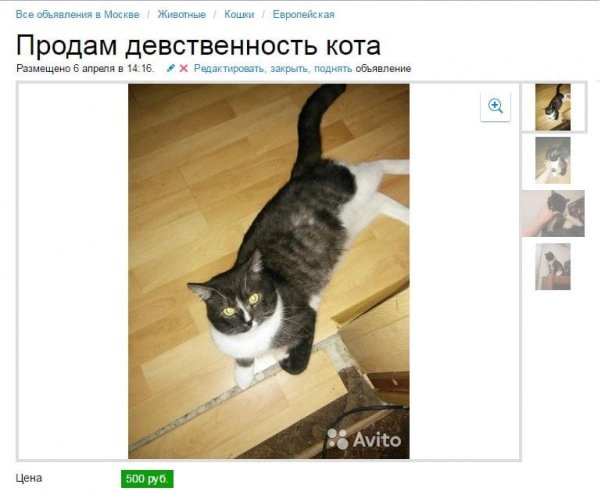 ржачные объявления