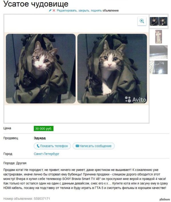 смешные объявления с авито