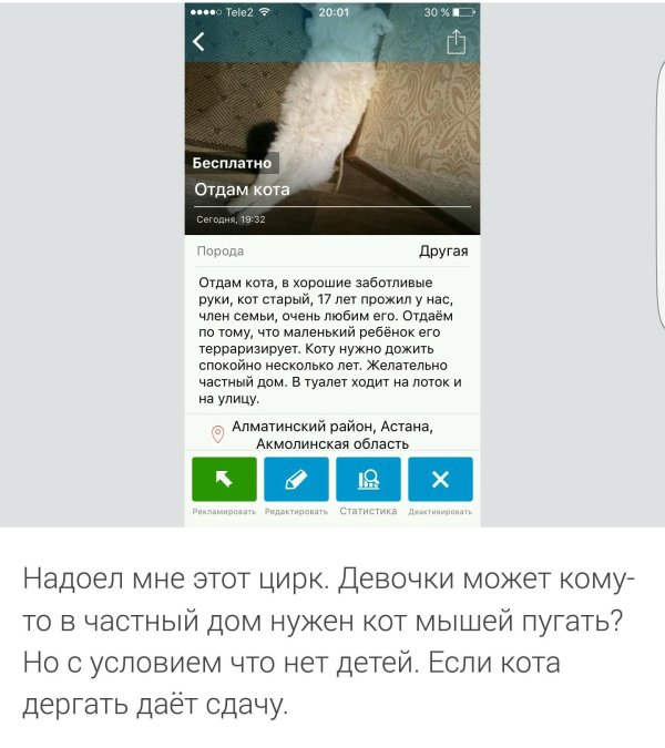 объявление авито