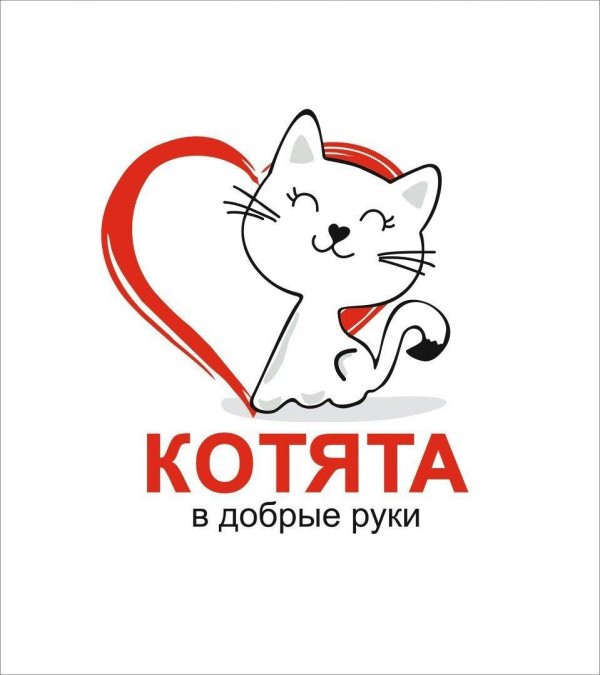 любимому котику