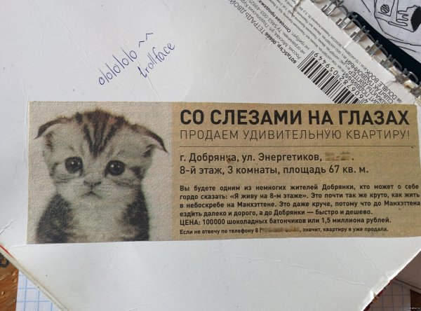 милые котенок