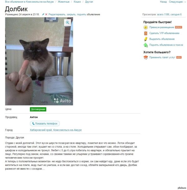 ржачные объявления