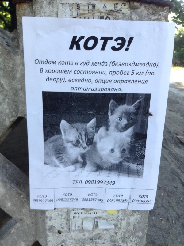 смешное объявление