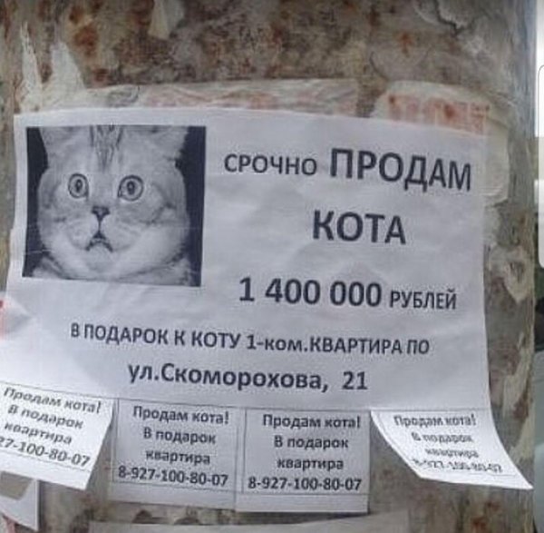 оригинальные объявления