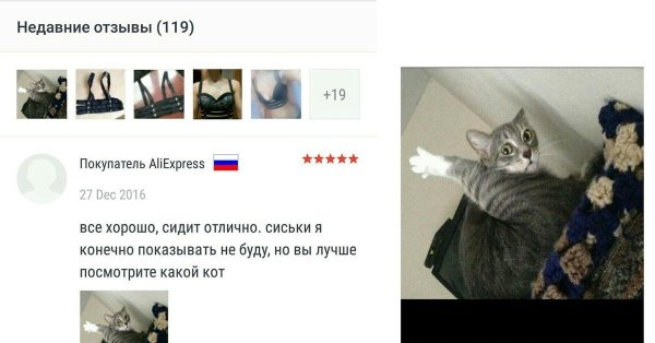 смешные комменты