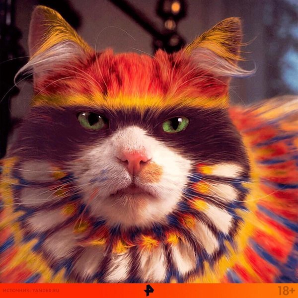 кошку покрасили