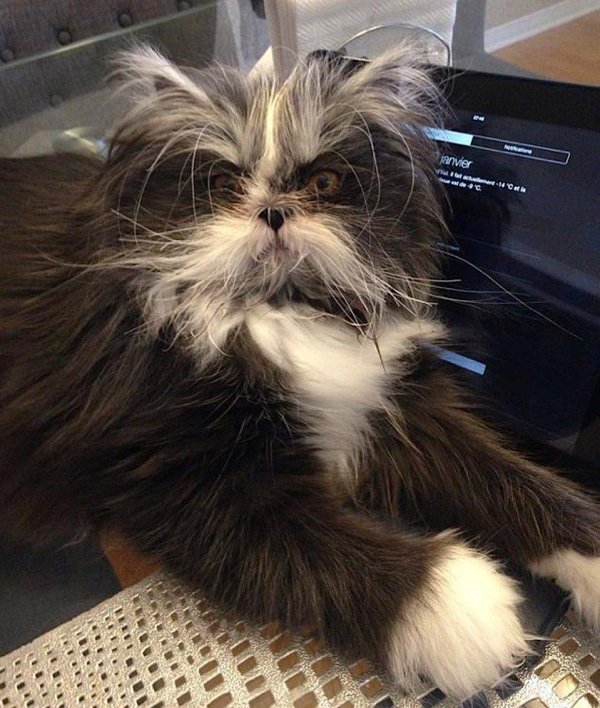 атчум чихун