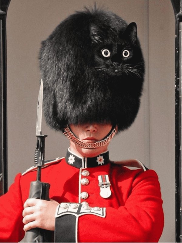 королевская гвардия великобритании