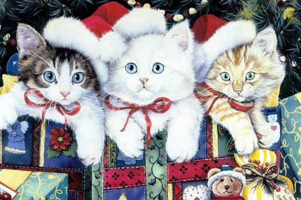 новогодние открытки с котами