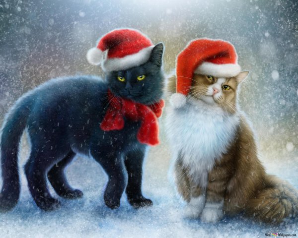 новогодний котик арт