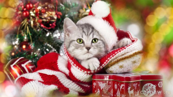 новогоднего настроения