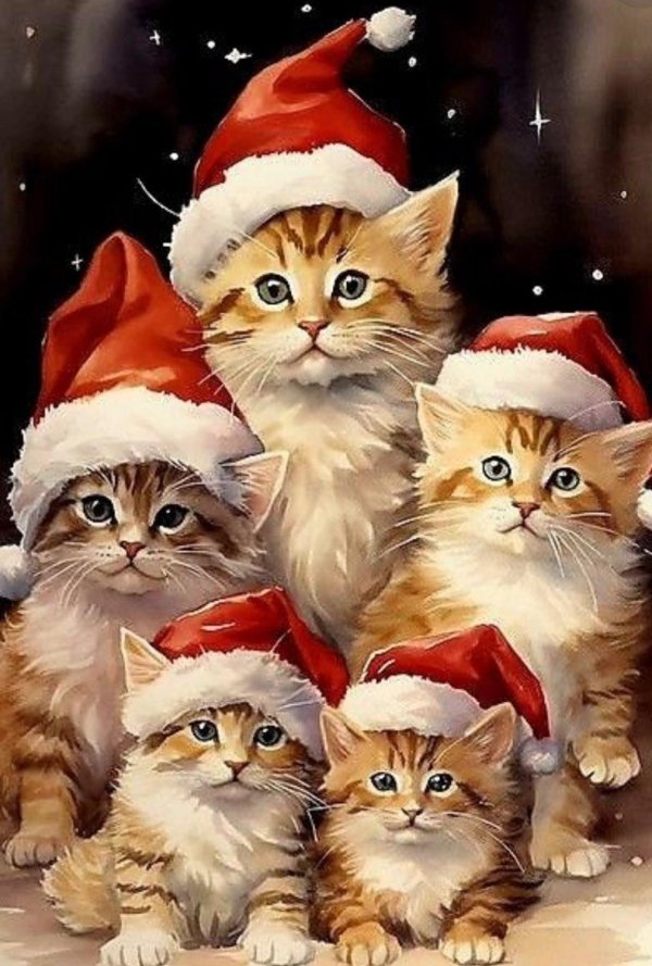 рождественские иллюстрации