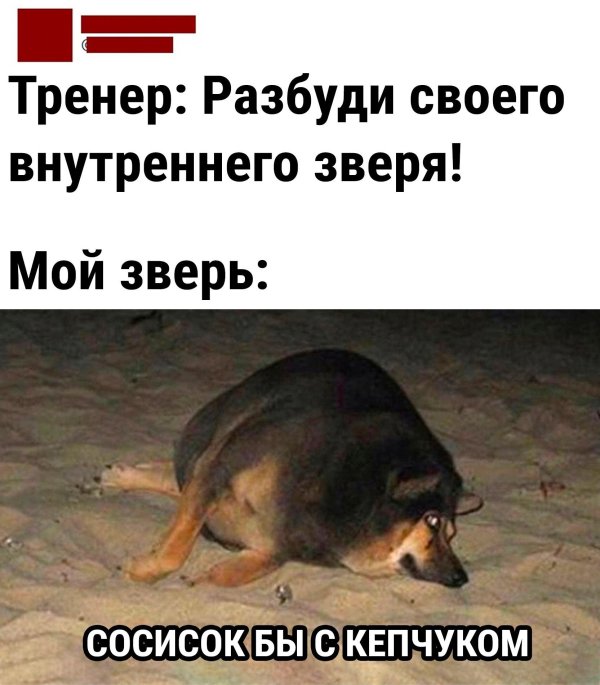 внутренние звери
