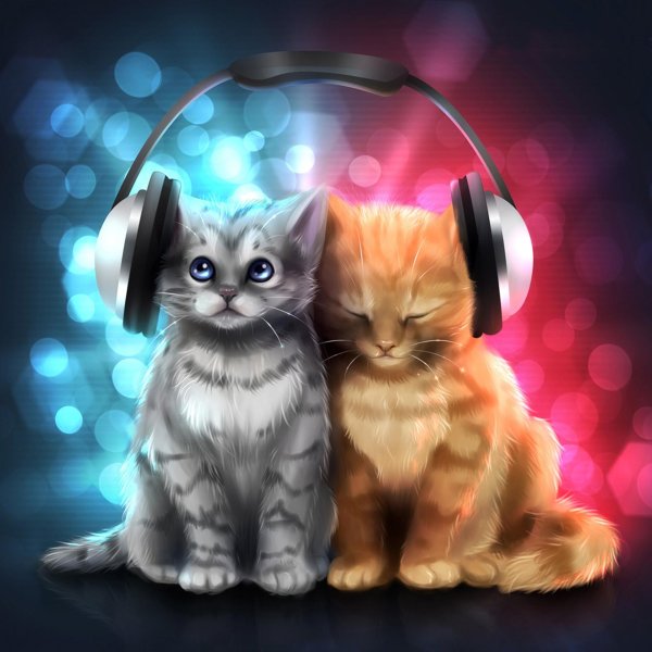 Для девочек котики