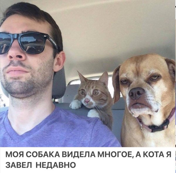 селфи с собакой