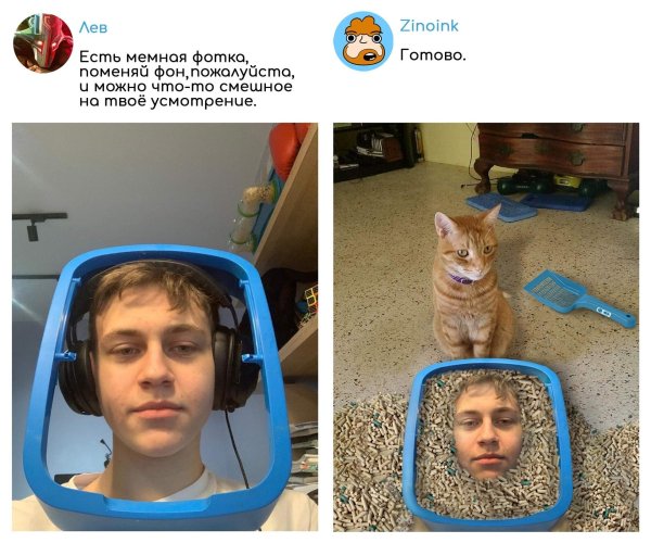 хозяева твич