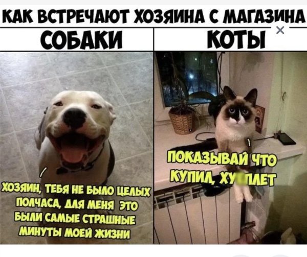 смешные комментарии