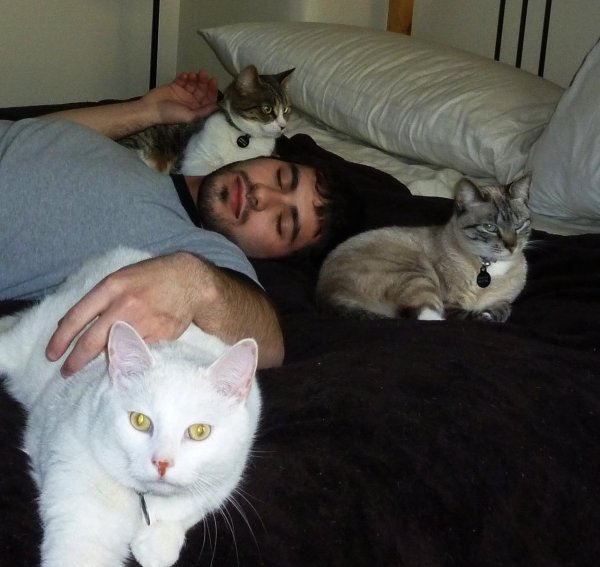 котики и люди