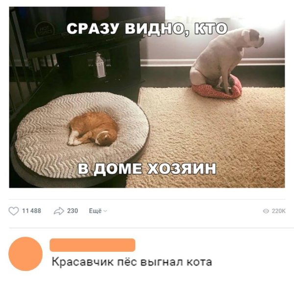 прикольные комментарии