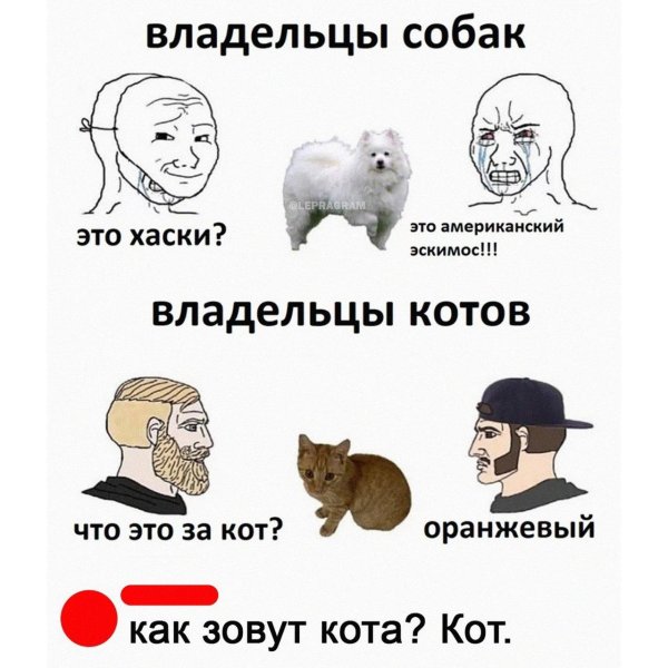 владелец собаки