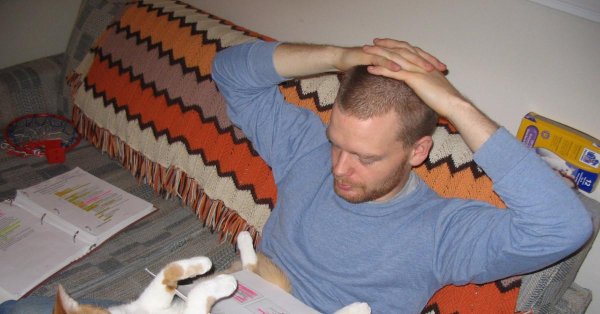 котики смешно