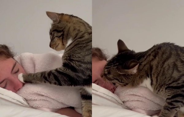 наташа вставай