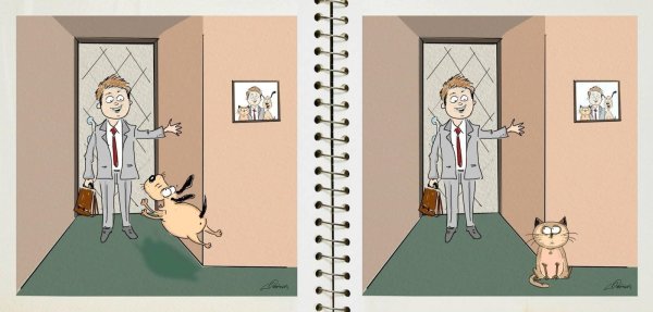 юмористические иллюстрации