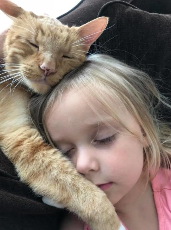 кошачий дочь