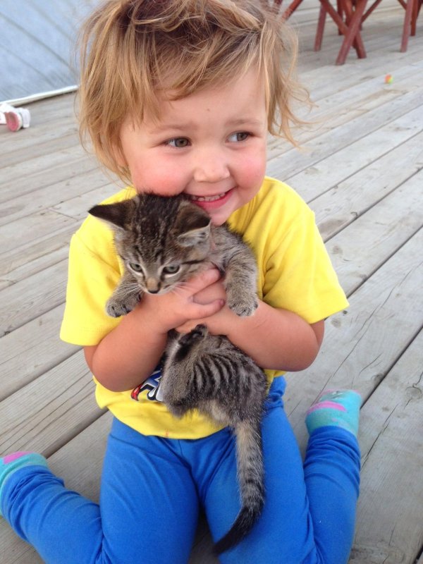 котёнок ребёнок