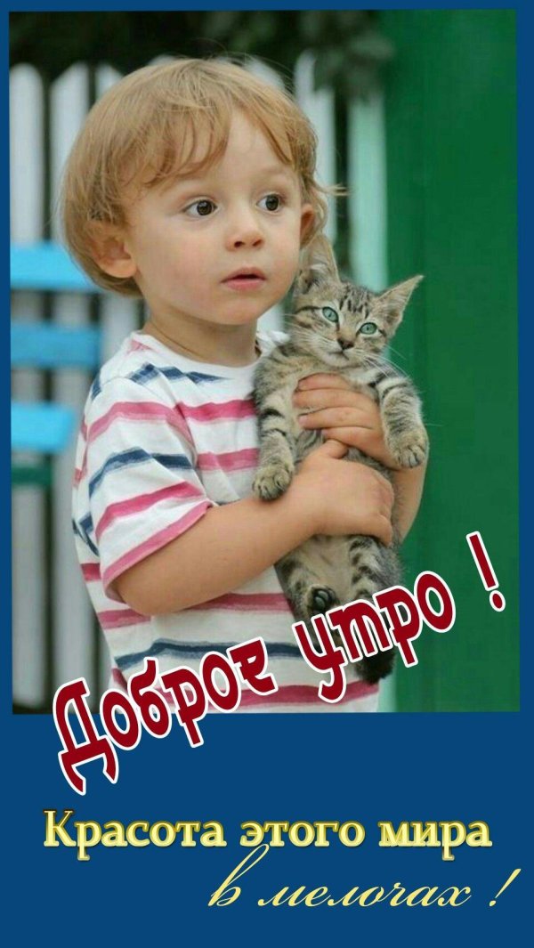 мальчик с котенком