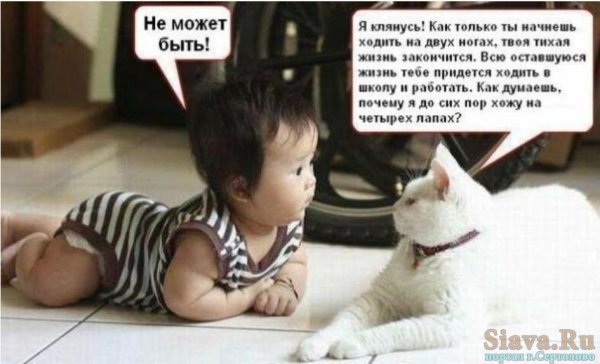 детский юмор