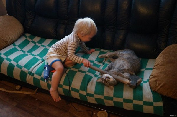 спиногрызы дети