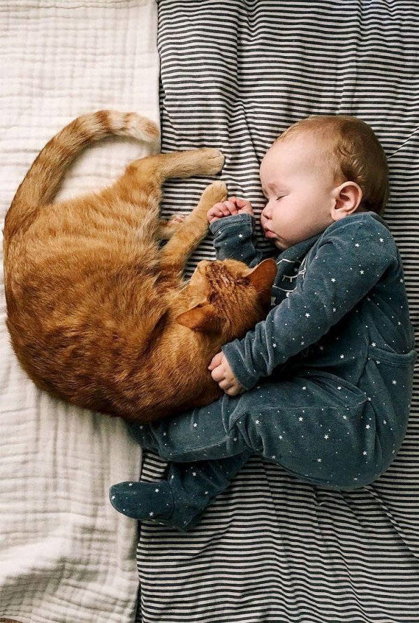 kid with cat