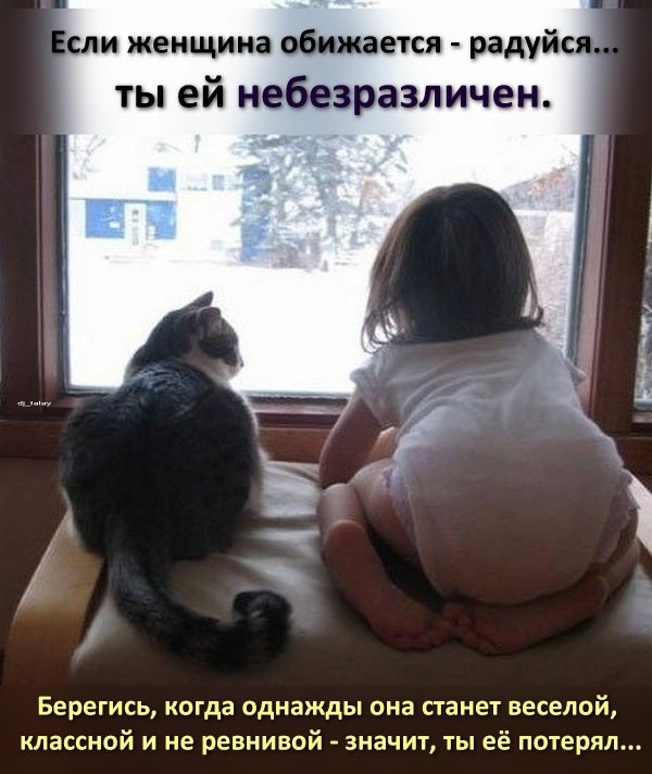 девушка с котом на подоконнике