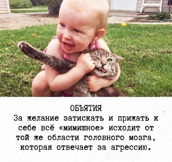 тискать ребенка