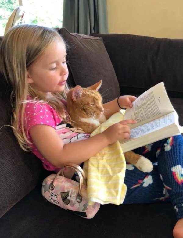 девочка читает