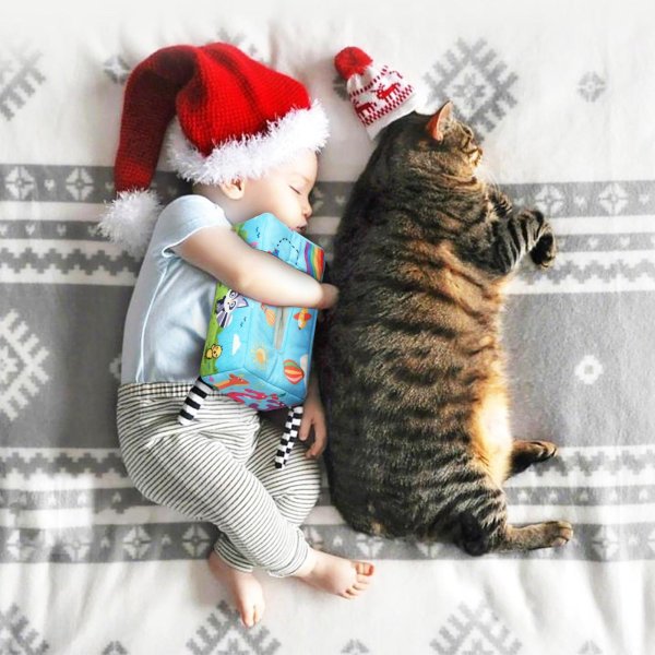 новогодние статусы