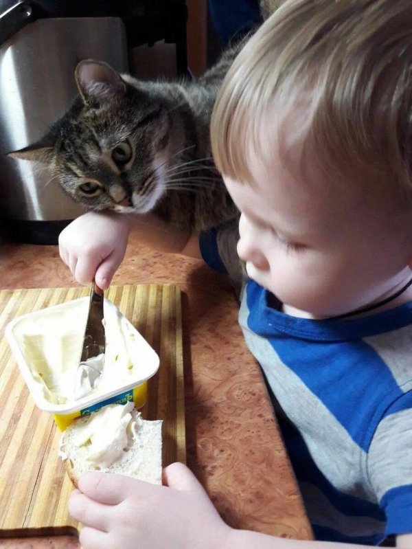 детские бутерброды