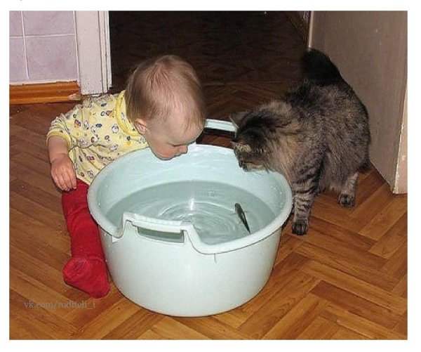 тазик с водой