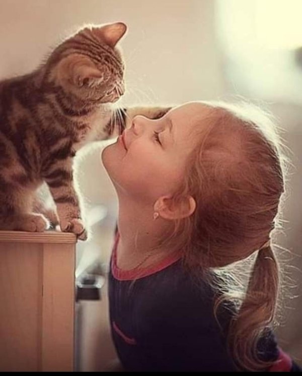 девочка с котом